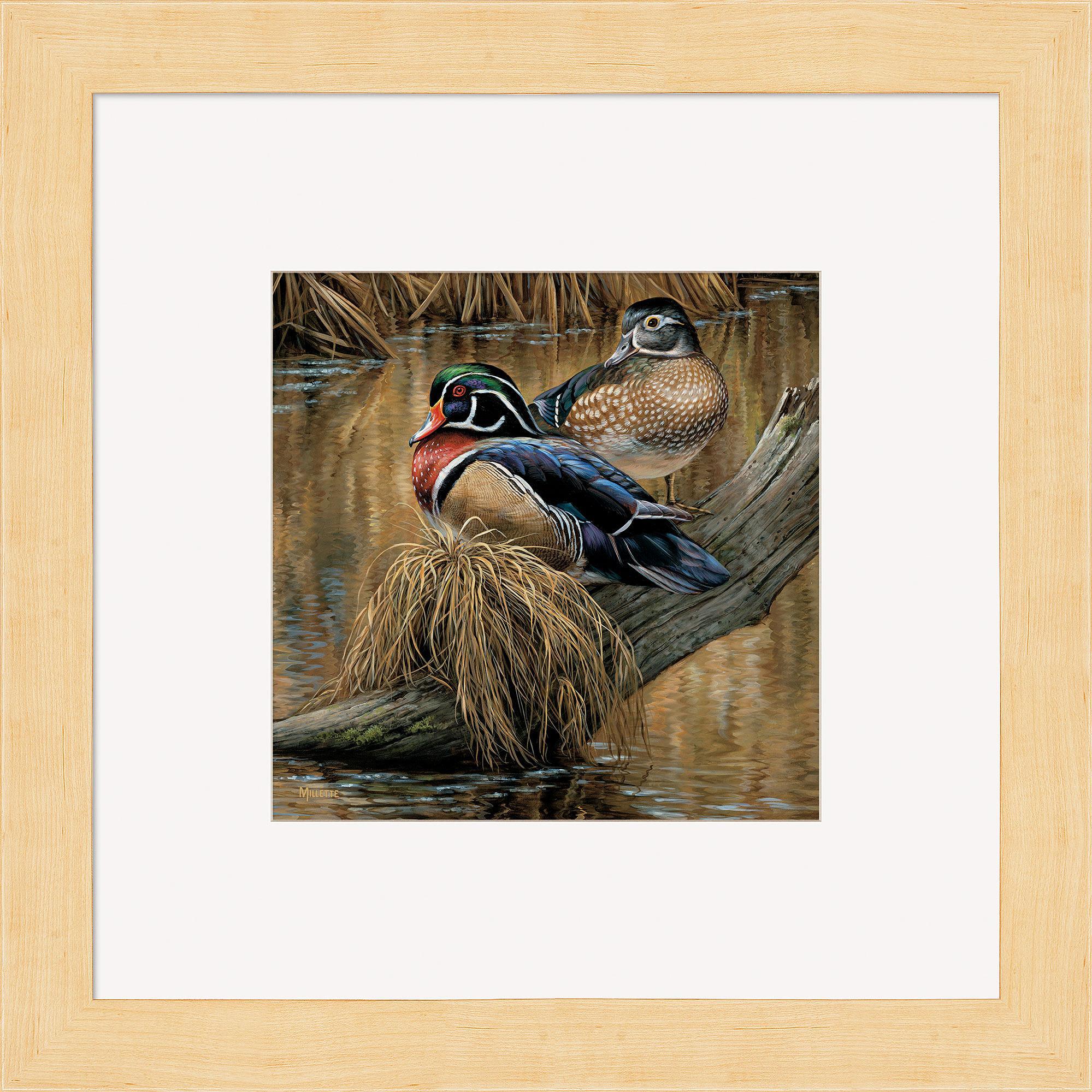 Backwater - Wood Ducks - Contempo Square - Image 3
