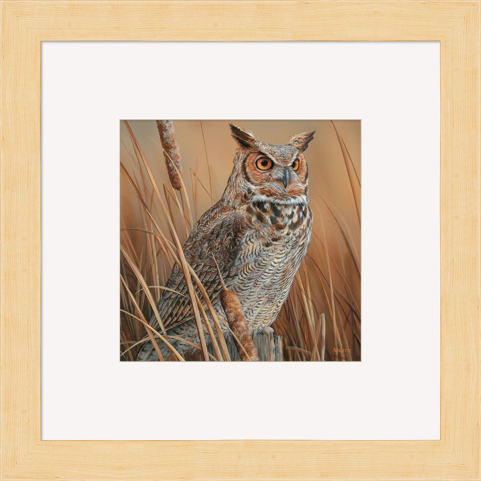 Great Horned Owl - Image 3